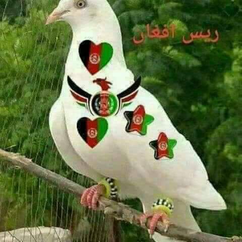 Bridal Shop «Mariposa Boutique», reviews and photos, 316 N Anaheim Blvd, Anaheim, CA 92805, USA