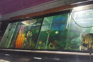 Baba Fish Aquarium image