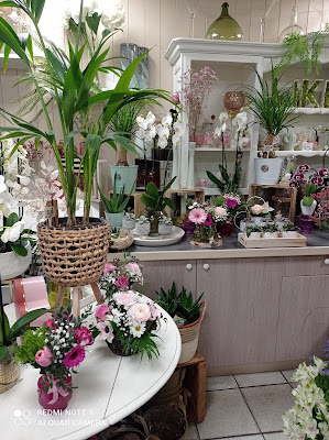 A Fleur de Pot à Saint-Denis-lès-Bourg