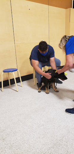 Pet Supply Store «PetSmart», reviews and photos, 428 Randall Rd, South Elgin, IL 60177, USA