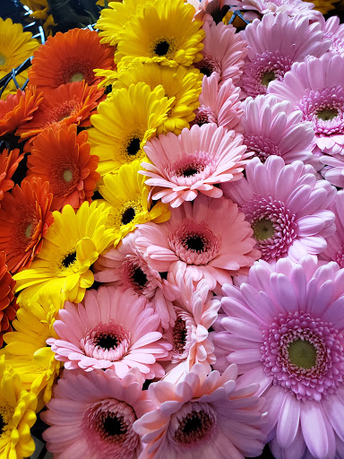 Florist «Ye Olde Yardley Florist», reviews and photos, 175 S Main St, Yardley, PA 19067, USA