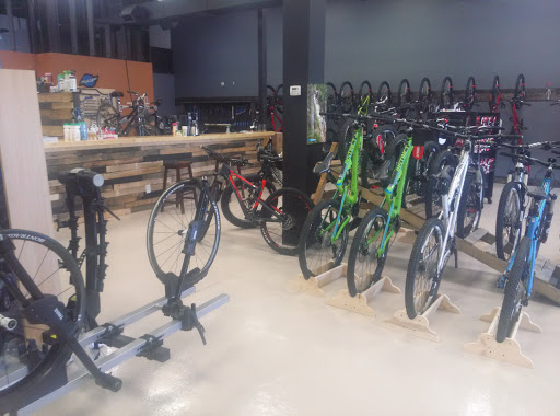 Bicycle Store «Trailhead Bicycles», reviews and photos, 355 Ozark Trail Dr, Ellisville, MO 63011, USA