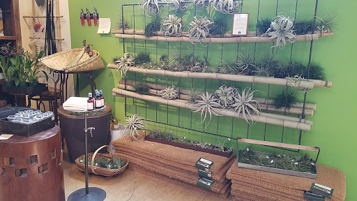 Shopping Mall «Fourth Street Shops», reviews and photos, 1834 Fourth St, Berkeley, CA 94710, USA