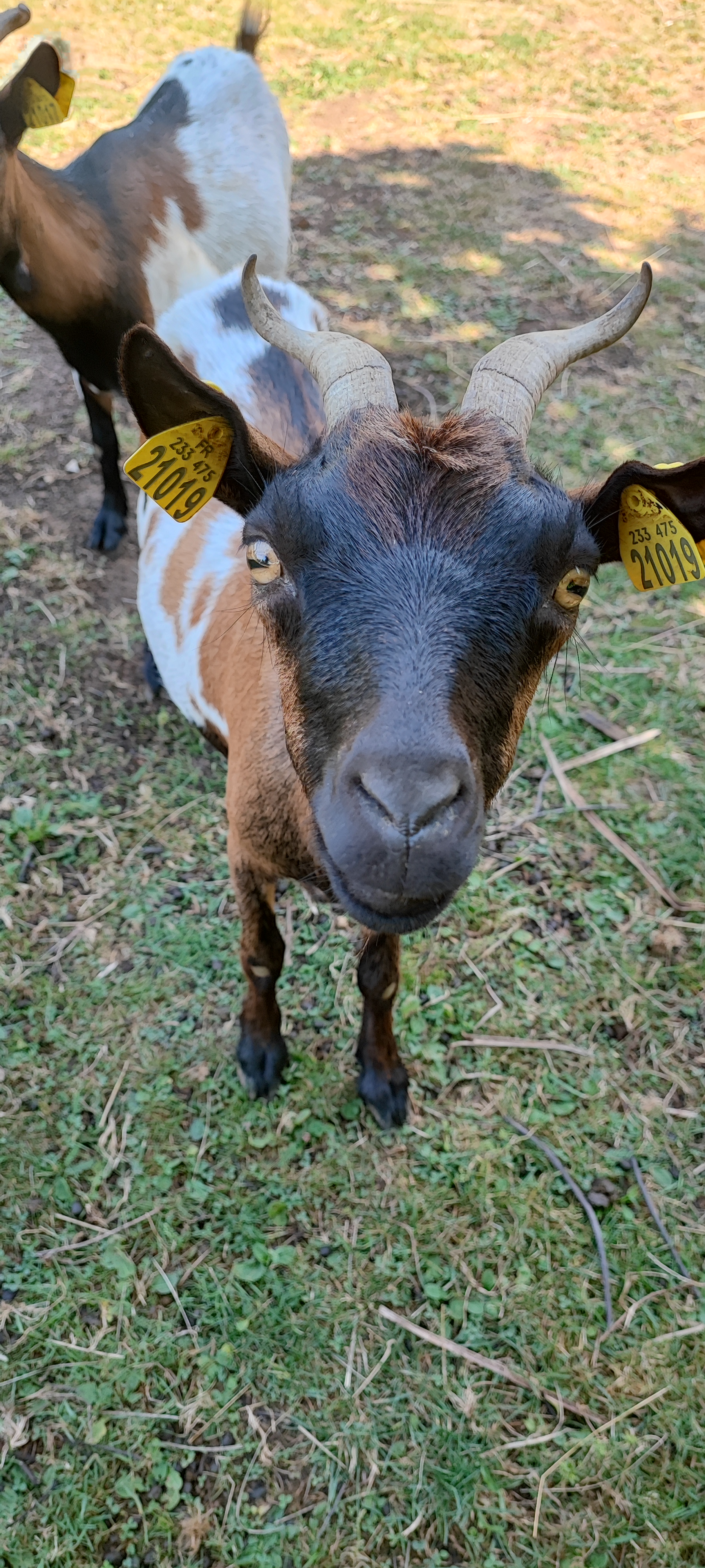Photo n° 10 de l'avis de Florence.e fait le 15/08/2023 à 17:20