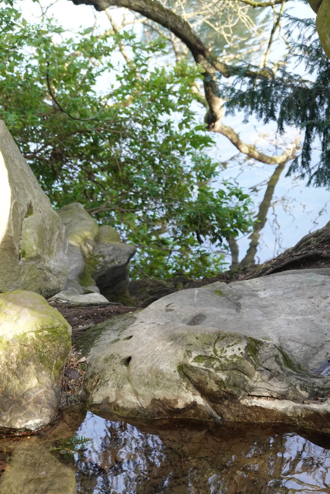 Photo n° 5 de l'avis de D. fait le 11/03/2024 à 08:32