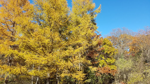 Park «Bare Cove Park», reviews and photos, Bare Cove Park Dr & Fort Hill St, Hingham, MA 02043, USA