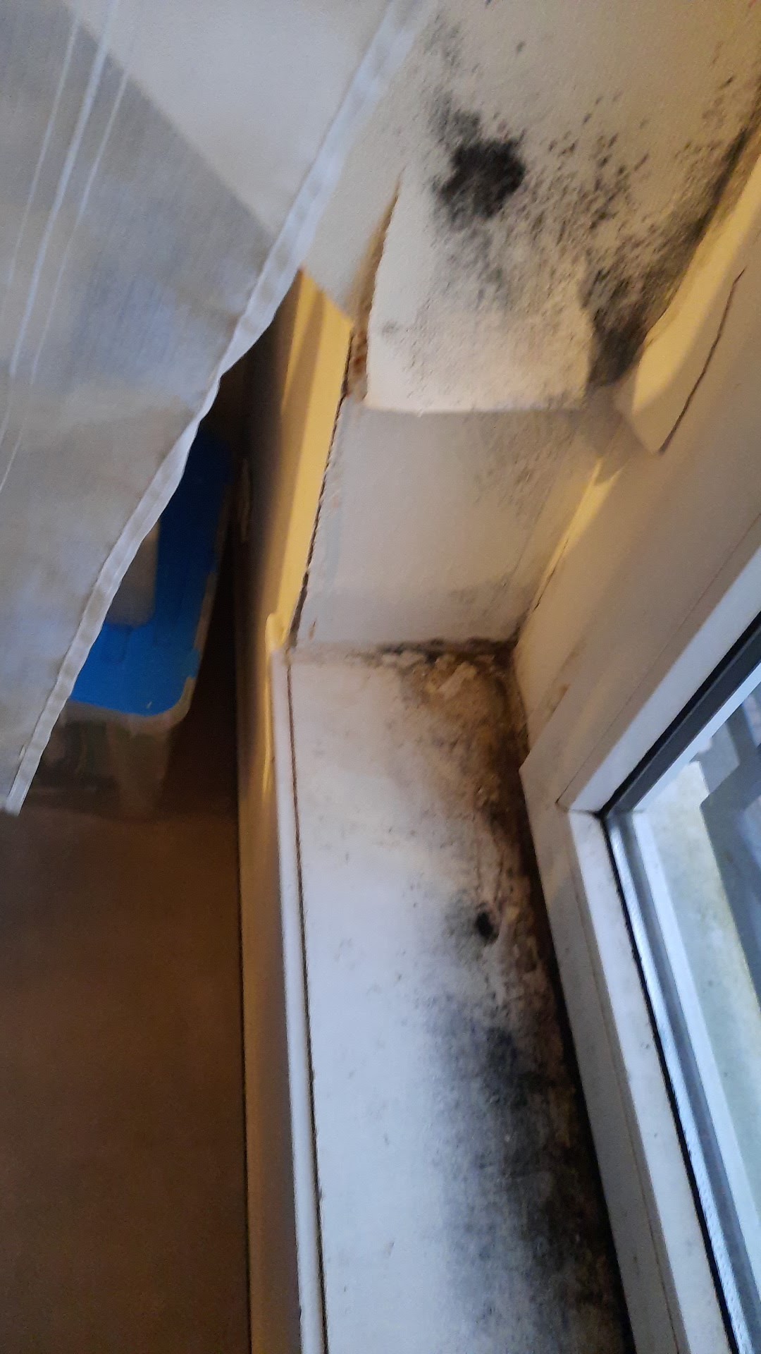 Photo n° 2 de l'avis de Nedji.u fait le 03/03/2023 à 17:38