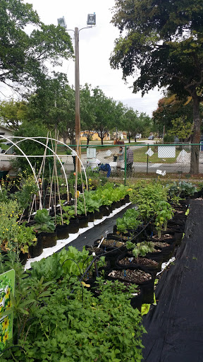 Park «Fairway Park», reviews and photos, 3700 Largo Dr, Miramar, FL 33023, USA