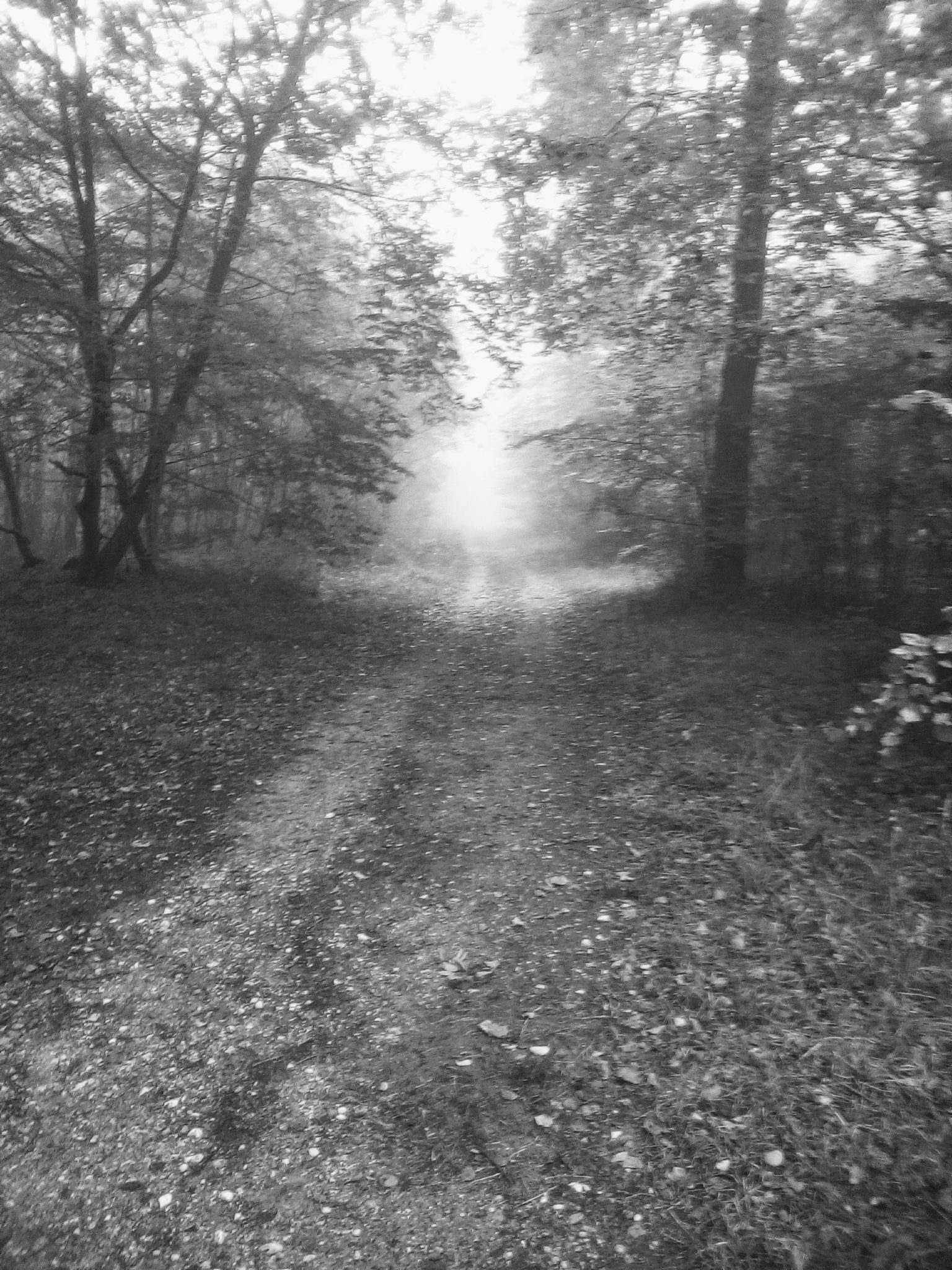 Photo n° 8 de l'avis de De.o fait le 13/10/2023 à 07:58