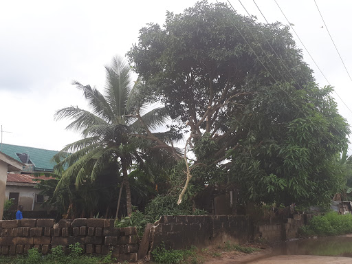 Pure Water Bustop, Lagos - Badagry Expy, Nigeria, Ramen Restaurant, state Lagos
