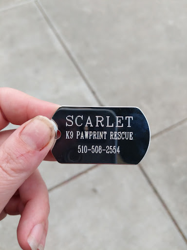 Shopping Mall «Clayton Valley Shopping Center», reviews and photos, 5424 Ygnacio Valley Rd, Concord, CA 94521, USA