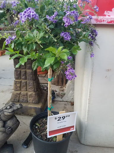 Hardware Store «Westlake Ace Hardware», reviews and photos, 2000 Matlock Rd, Mansfield, TX 76063, USA