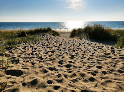 Dune de Bréville-sur-Mer à Bréville-sur-Mer