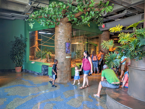 Aquarium «South Carolina Aquarium», reviews and photos, 100 Aquarium Wharf, Charleston, SC 29401, USA