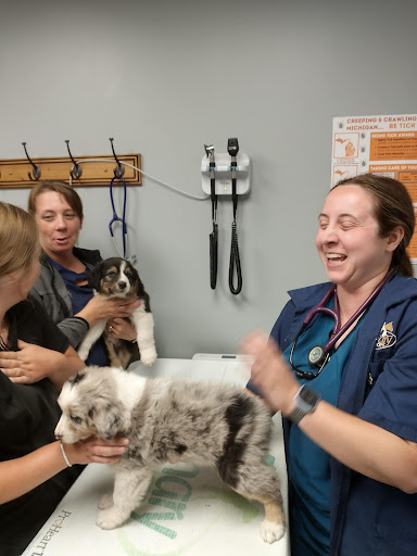 Thumb Veterinary Services image