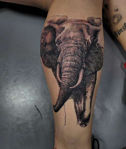 Explore wilderness tattoo ideas, creative tattoo ideas in Burlington, available at Mr Tattoos & Piercing