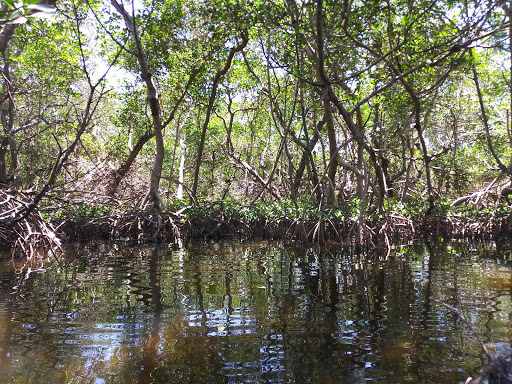 Nature Preserve «Cockroach Bay Aquatic Preserve», reviews and photos, 3839 Gulf City Rd, Ruskin, FL 33570, USA