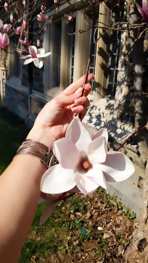 French Restaurant «Avenue Le Club», reviews and photos, 23 Ocean Ave, Long Branch, NJ 07740, USA