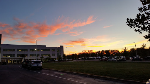 Insurance Company «The Rawlings Group», reviews and photos