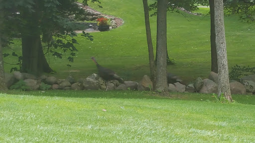 Golf Course «Stonehedge Golf Club», reviews and photos, 15530 M-89, Augusta, MI 49012, USA