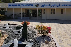Abu Dhabi Falcon Hospital image