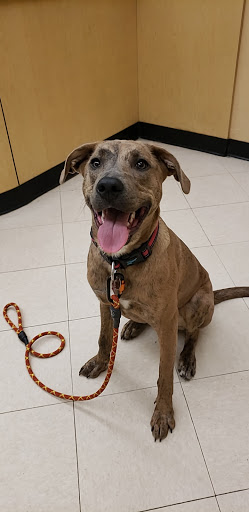 Pet Supply Store «PetSmart», reviews and photos, 625 Baltimore Blvd, Westminster, MD 21157, USA