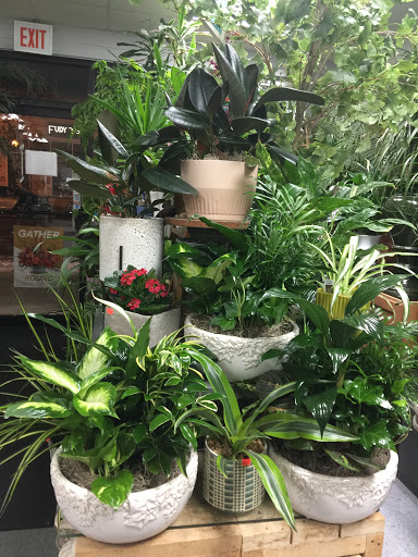 Florist «Rogers Park Florist», reviews and photos, 1415 W Morse Ave, Chicago, IL 60626, USA