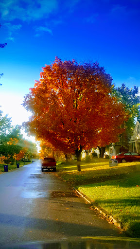 Shopping Mall «Great Western Shopping Center», reviews and photos, 240 N Wilson Rd, Columbus, OH 43204, USA