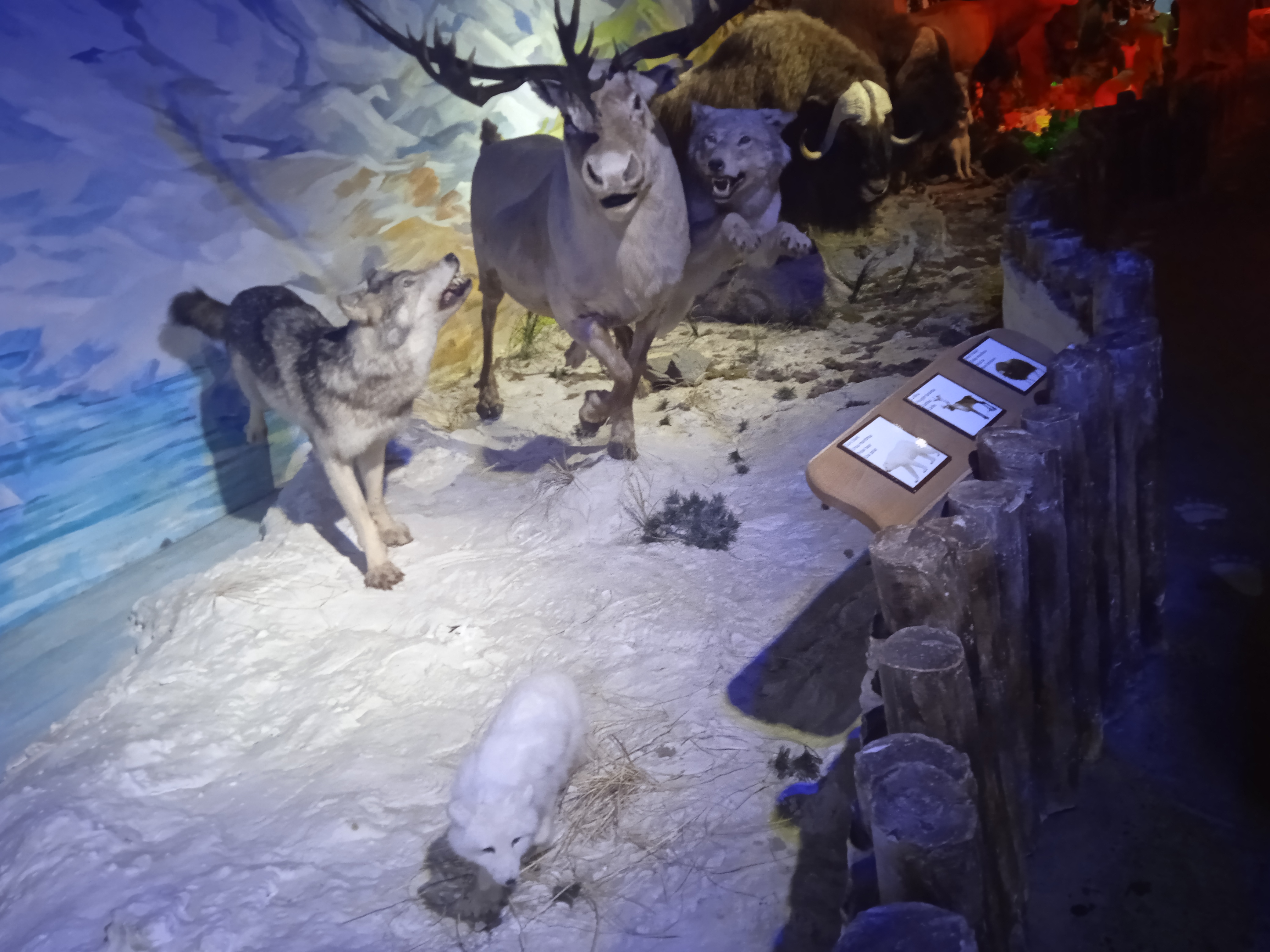 Photo n° 25 de l'avis de Gamer.p fait le 04/06/2022 à 18:21