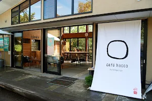 cafe hacco image