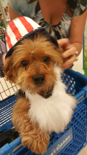 Pet Supply Store «PetSmart», reviews and photos, 198 Promenade Blvd, Flowood, MS 39232, USA