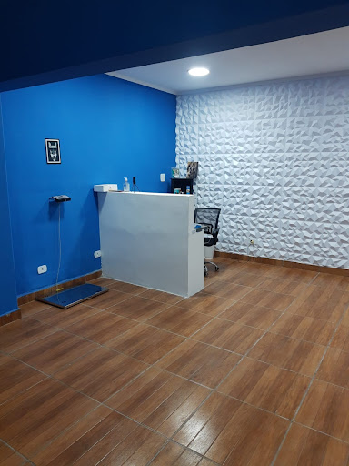 Hospital Veterinário 24 horas Onlypet em Ferraz de Vasconcelos - SP