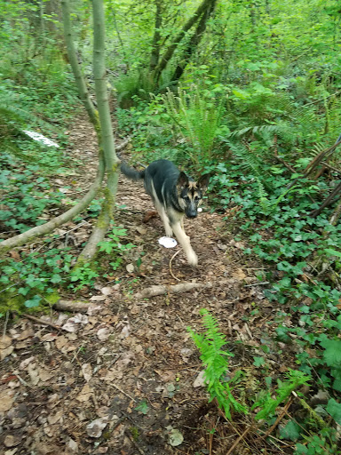 Park «Sacajawea Park», reviews and photos, 1401 S Dash Point Rd, Federal Way, WA 98003, USA