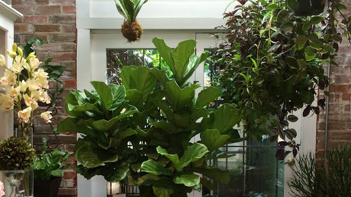 Florist «Fleur de Lis Fresh Flowers», reviews and photos, 516 Selby Ave, St Paul, MN 55102, USA