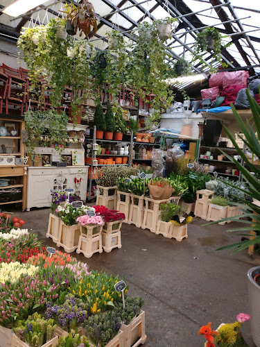 517A Cambridge Heath Rd, Cambridge Heath, London E2 9BU, United Kingdom