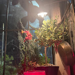 Photo n°1 de l'avis de Patrizia.a fait le 06/04/2024 à 16:55 sur le  Serra café & restaurant à Fonte Nuova