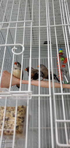 Pet Store «Pet Cove», reviews and photos, 820 E Center St, Kingsport, TN 37660, USA