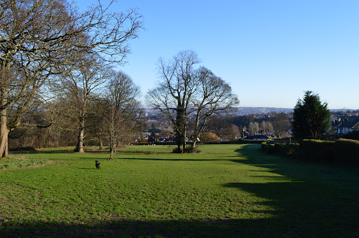 Bingham Park and Whiteley Woods