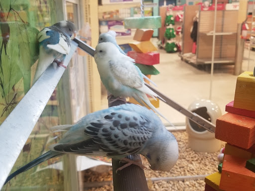 Pet Supply Store «PetSmart», reviews and photos, 10940 E Foothill Blvd, Rancho Cucamonga, CA 91730, USA