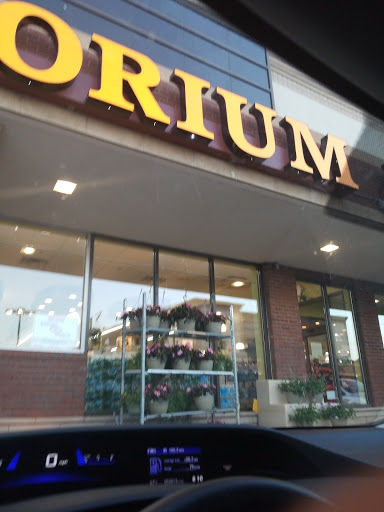 Grocery Store «Emporium Fresh Market», reviews and photos, 876 Connetquot Ave, Islip Terrace, NY 11752, USA