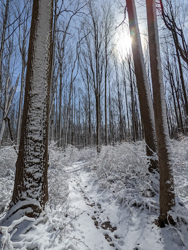 Nature Preserve «Sadsbury Woods Preserve», reviews and photos, Ramblewood Dr & Northwood Dr, Coatesville, PA 19320, USA