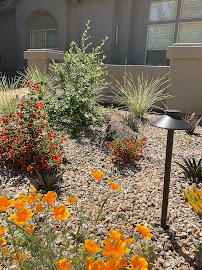 Angela McGinnis Landscape Design - Photo 9 - Car repair in , Vacaville