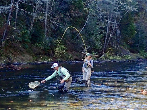 Fishing Store «Albemarle Angler», reviews and photos, 1129 Emmet St N, Charlottesville, VA 22903, USA