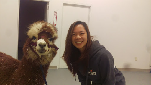 Hardware Store «Harbor Freight Tools», reviews and photos, 932 Blossom Hill Rd, San Jose, CA 95123, USA