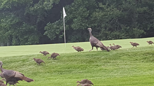 Golf Course «The Course at Yale», reviews and photos, 200 Conrad Dr, New Haven, CT 06515, USA