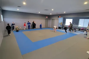 Newaygo Jiu-Jitsu Academy image