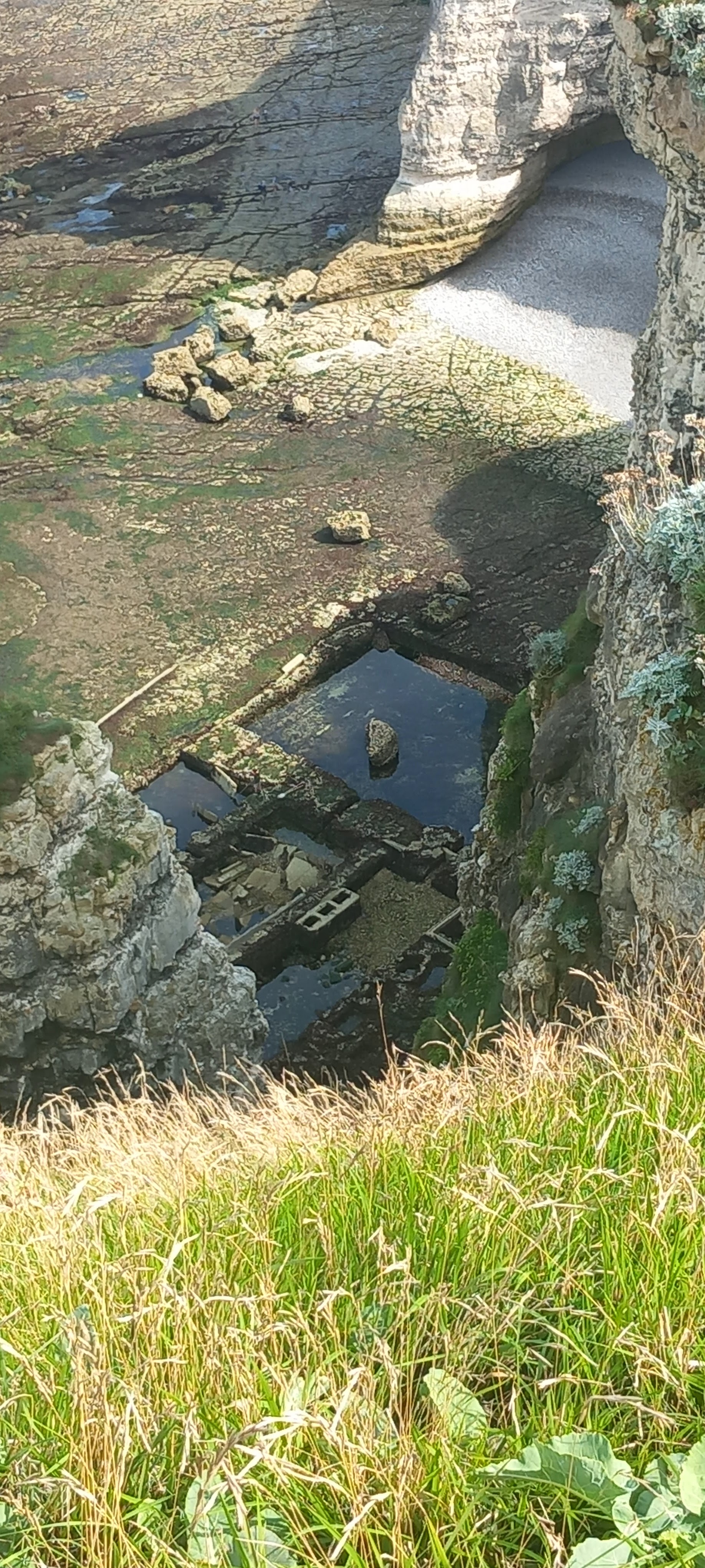 Photo n° 1 de l'avis de Myri.8 fait le 01/09/2023 à 15:44