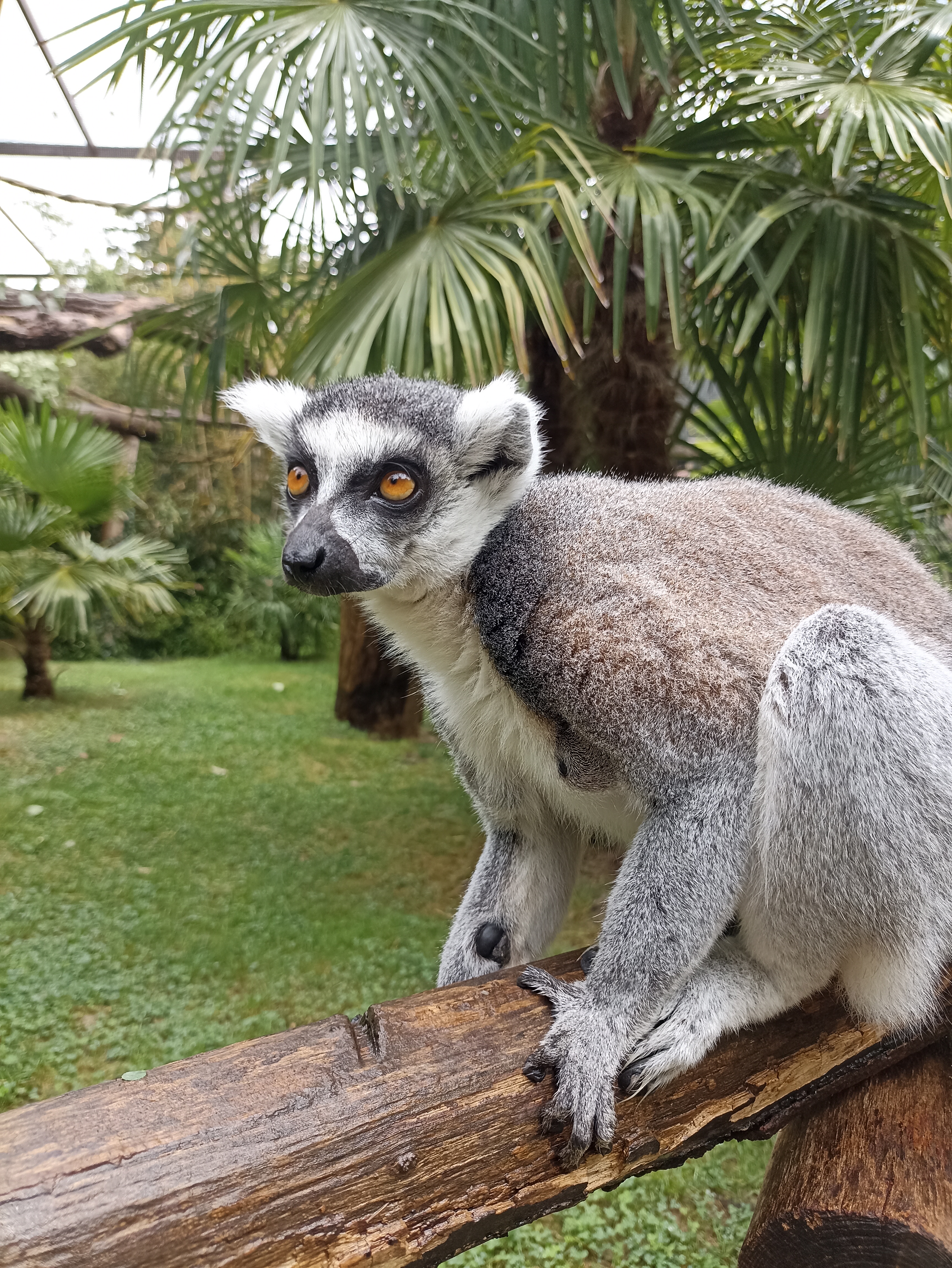 Photo n° 2 de l'avis de Cedric.r fait le 28/08/2023 à 13:27