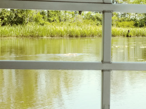 Botanical Garden «Brookgreen Gardens», reviews and photos, 1931 Brookgreen Garden Dr, Murrells Inlet, SC 29576, USA