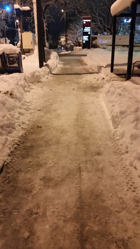 Park «Dawson Park», reviews and photos, 2926 N Williams Ave, Portland, OR 97227, USA